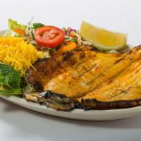 Trout Fish · One whole de-boned marinated rainbow trout, charbroiled, and served with the special green r...