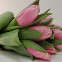 Pink Tulips  · Consist of  20 stem pink tulips. Prep time: 2 hours
