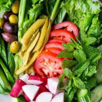Fresh Vegetable Plate · lettuce, cucumber, tomato, green onion, olives, wild cucumber pickles, radish, mint (VG VN R...