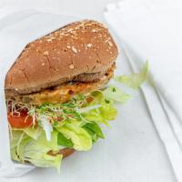 Garden Burger · Garden burgers are meatless patties made of brown rice, rolled oats, vegetables, skim mozzar...