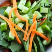 Mixed Green Salad · Served with tomatoes, cucumbers,  shredded carrots and our house vinaigrette dressing. Veget...