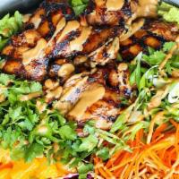 Asian Chicken Salad · Spring mix greens, chopped red cabbage, julienne carrots, almonds, sliced cucumbers, crispy ...