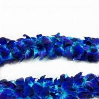 Double Blue Orchid Lei · DOUBLE BLUE ORCHID LEI
Commemorate the Graduate (or other special celebrant) with a fuller o...