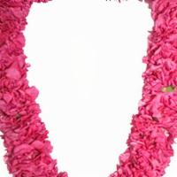 Double Pink Carnations Lei  · Celebrate your shining star with Double Pink Carnations Lei