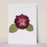 Rose Dried Flowers Handmade Greeting Card · Every piece of our handmade greeting card comes with pressed flowers and variety of designs....