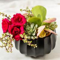 Higher Love With Roses · A dramatic array of colorful succulents adorned with classic, romantic red roses.  10”x10”.