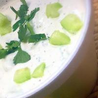 Masto O Khiar (Vegetarian) · Yogurt, cucumber, and dry mint. Served with pitas.