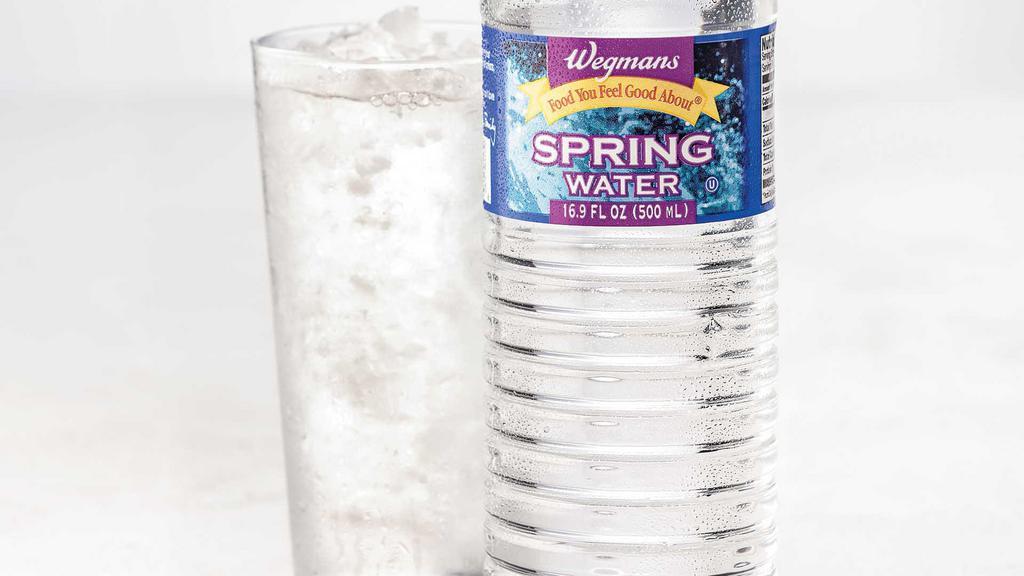 Wegmans Water · 16.9 oz