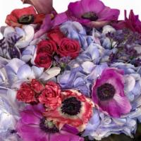 Anemone Blooms · Anemones are also known as “the daughter of the wind” or windflower.
Beautiful, delicate, an...