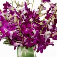 Orchid Blast · Bring a splash of color to any room with our stunning pink spray! Fresh-cut, hot pink dendro...
