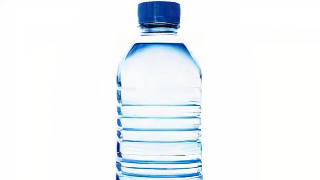 Purified Water · 16.9 oz  bottle water