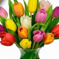 Rainbow Tulip Bouquet - 15 Stems · Extravagant 15 stems rainbow colored tulip flowers.