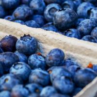 A Little Blue (Blueberry) · Organic Blueberry