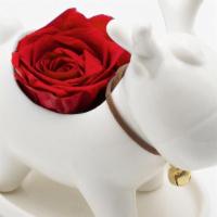 Single Rose In Moose Ceramic  · Your home will be brighter with this simple moose or reindeer carrying a single real preserv...