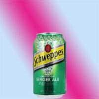 Ginger Ale (Can) · 