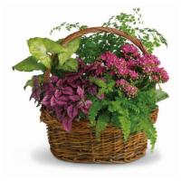 Secret Garden Basket · It will be no secret how you feel about the person lucky enough to receive this beautiful ba...