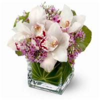 Teleflora'S Lovely Orchids Or Roses · For a gift that's both luxurious and lovely, consider a bouquet of exotic fresh white orchid...