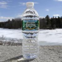 Poland Spring Bottled Water · 16.9 oz.