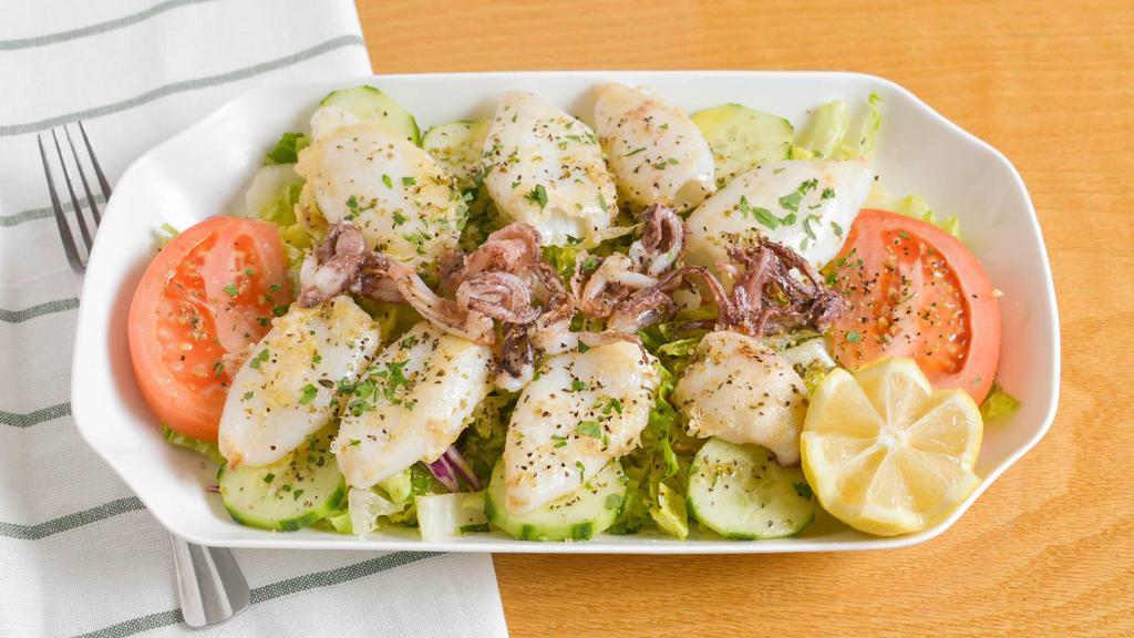 Grilled Calamari Salad · House salad w/ grilled calamari, drizzled with lemon juice and extra virgin olive oil