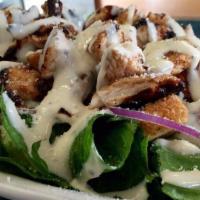 Grilled Chicken Salad · Served with your choice of dressing.