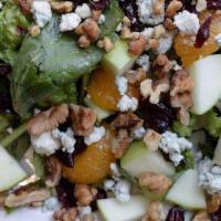 Seasonal House Salad · Seasonal greens, gorgonzola, candied walnuts, dried cranberries, sliced apples and a rotatio...