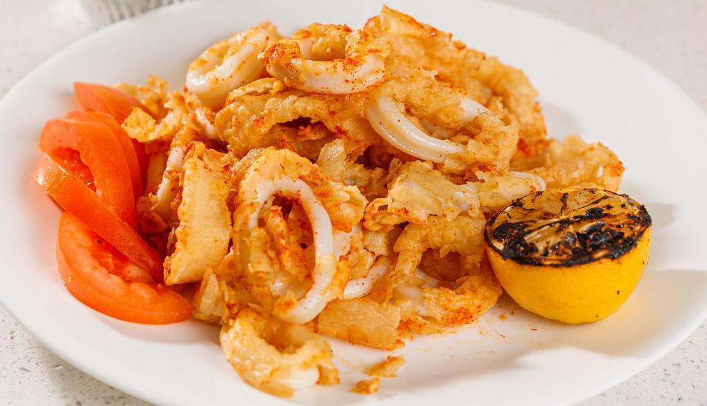Fried Calamari · Fried calamari rings, served with our house sauce.