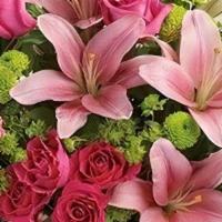Mariposa Arrangement · This fabulously feminine bouquet features hot pink roses, hot pink spray roses, pink asiatic...
