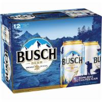 Busch - 12 Pack Cans · 