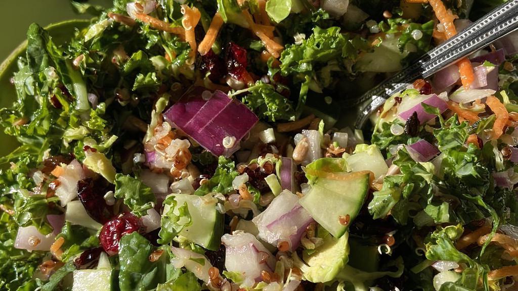 Mood Indigo · Shaved kale, rainbow quinoa, carrots, cucumber, sunflower seeds, red onion, dried cranberries, avocado, champagne vinaigrette