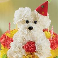 Birthday Wishes Flower Cake™ Pupcake · Exclusive celebrate a loyal friend on their birthday with our unique and whimsical Pupcake™!...