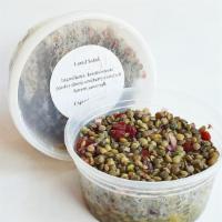 Lentil Salad · Ingredients: lentils, onions, parsley, dried cranberry, olive oil, juice, salt