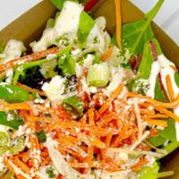 Combo Salad · Basic house salad consisting of mixed greens, buttermilk ranch, carrots, parmesan and green ...