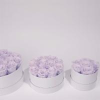 Serene Dreams · Our preserved roses last one year when properly cared for. Our x-small classic spreads a lot...