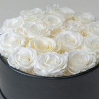 Creme De La Creme · Our preserved roses last one year when properly cared for. Our x-small classic spreads a lot...