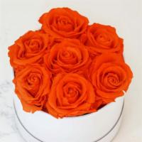Tangerine Dream · Our preserved roses last one year when properly cared for. Our x-small classic spreads a lot...