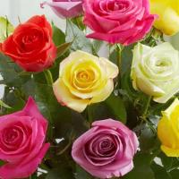Roses Assorted  Designers Choice · Dozen Assorted Colors