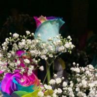 Roses Rainbow X6 · 6 Rainbow Roses arranged in a vase