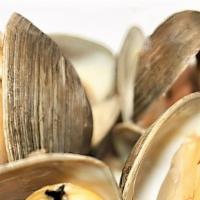1 Lb Clams · Comes with 1 Side