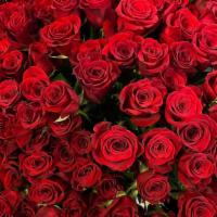 Red Velvet · 50 Red Roses, Vase Included