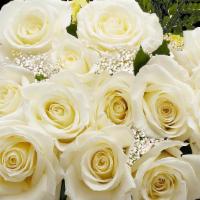 White Dozen Roses · 12 beautiful white roses with babys breath and green foliage