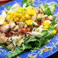 Taco Salad · Choice of grilled fish (gluten free), chicken (gluten free), or veggie patty, served on top ...