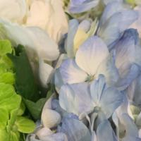 Hydrangeas  · Bouquet of 10 premium hydrangeas