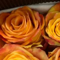 Long Stemmed Roses · 2 dozens of freshly cut long stemmed roses.