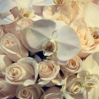 White Whale · Massive cluster of while roses laced with cut white orchids.