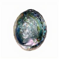 Abalone Shell · The abalone shell is an extremely strong shell made up of a few whorls (or turns of the gast...