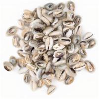 Cowrie Shells · Cowrie Shells have grown in Western popularity in recent years, but throughout history they ...