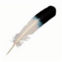 Faux Eagle Feather · This imitation eagle feather is intended to use while smudging.

SIZE: 1.5