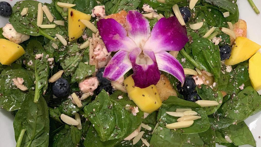 Orchid Blossom · Baby spinach, slivered almonds, mango, blueberries, crumbled feta, organic chia seeds, raspberry vinaigrette.