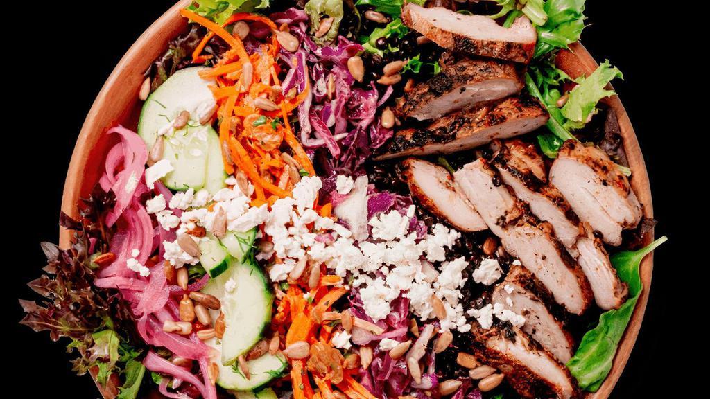 Chicken Medley · Chicken rōti, mixed greens, romaine, lemon kale, black lentils, marinated cabbage, curried carrot salad, dill cucumbers, pickled onions, feta, sunflower seeds, red wine vinaigrette