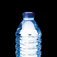 Bottled Water · Bottled natural spring water (16.9oz)